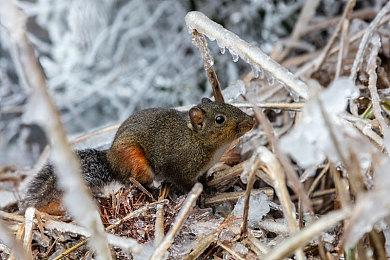 多人生存名作《腐蚀》PC版销量突破2000万 发售12年继续更新